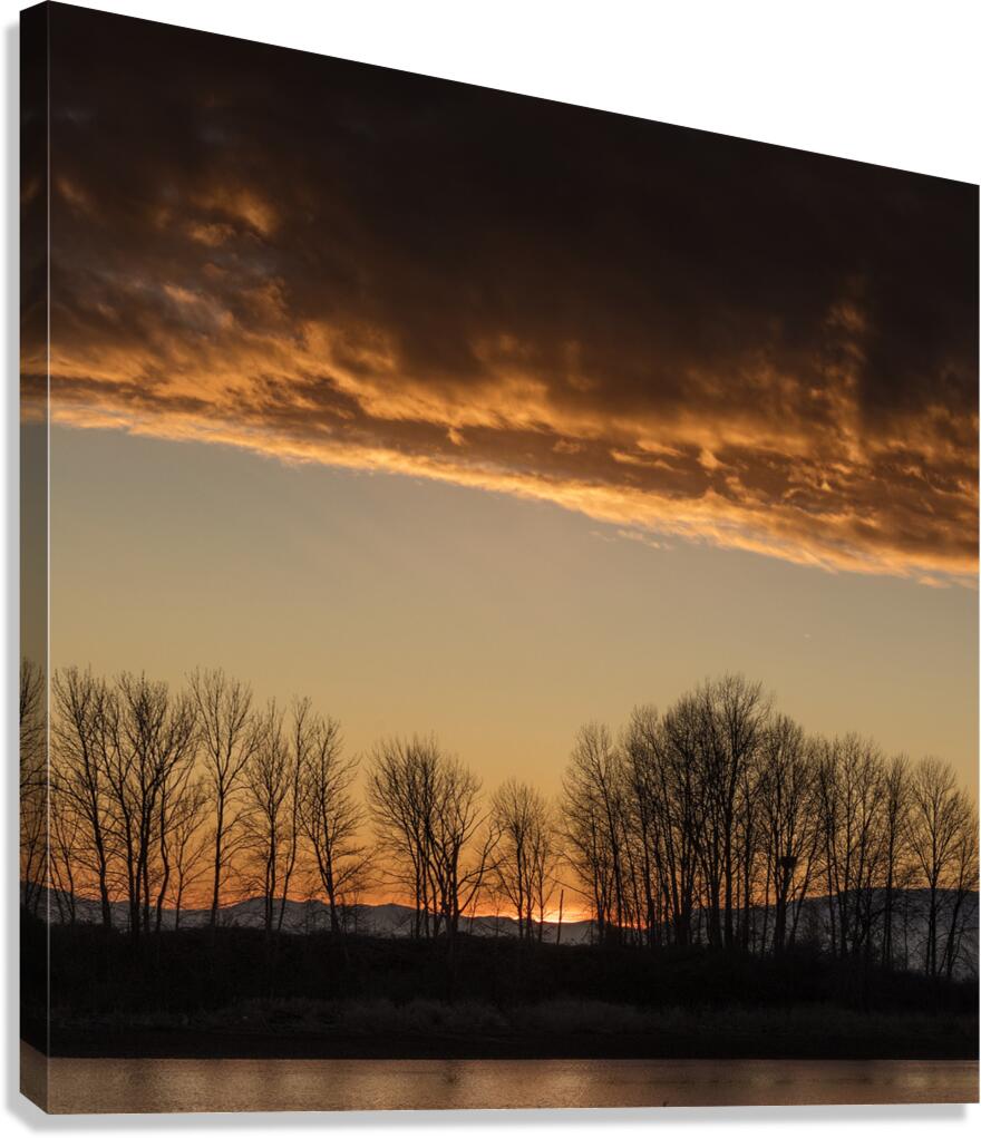 FS250118S Canvas Print