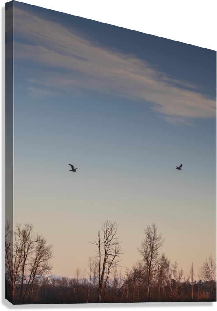 A HAPPY FACE Canvas Print