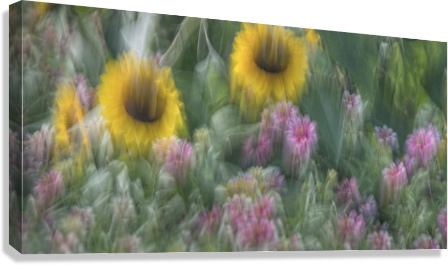 FS240902 Canvas Print