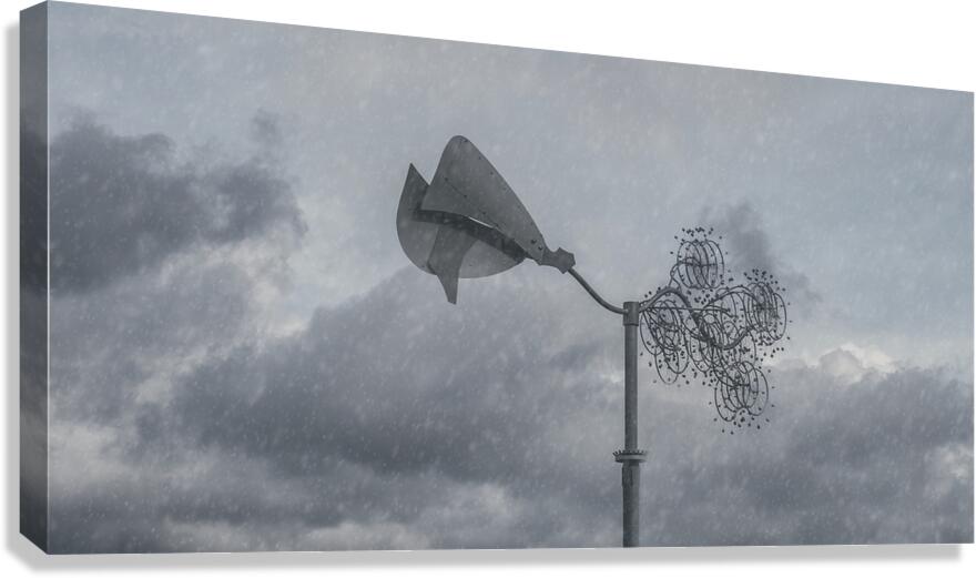 FS240229 RAINFALL Canvas Print
