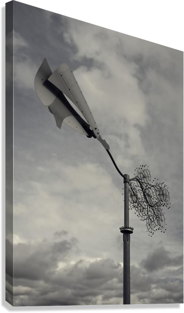 FS240229 36  Canvas Print