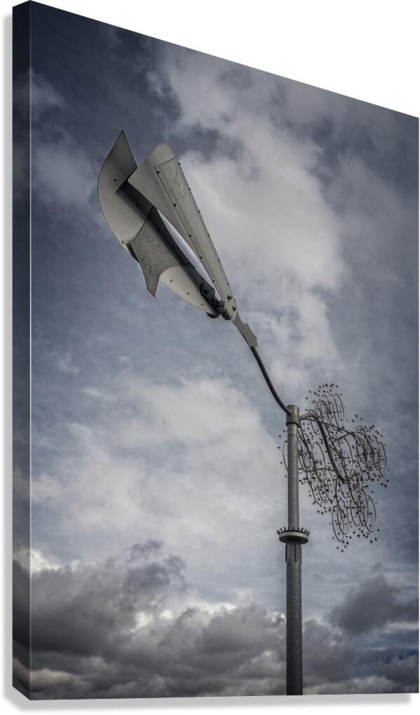 FS240229 07 Canvas Print