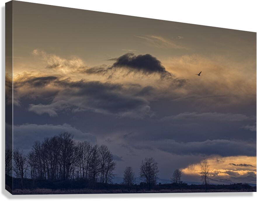 FS250201 SUNSET AT IMPERIAL LANDING Canvas Print