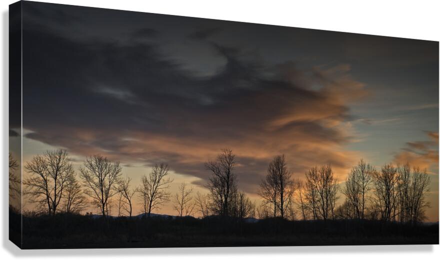 FS250125DW Canvas Print