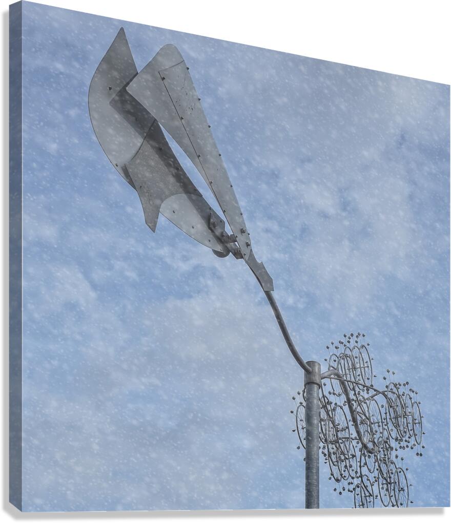 FS240229E Edit Canvas Print