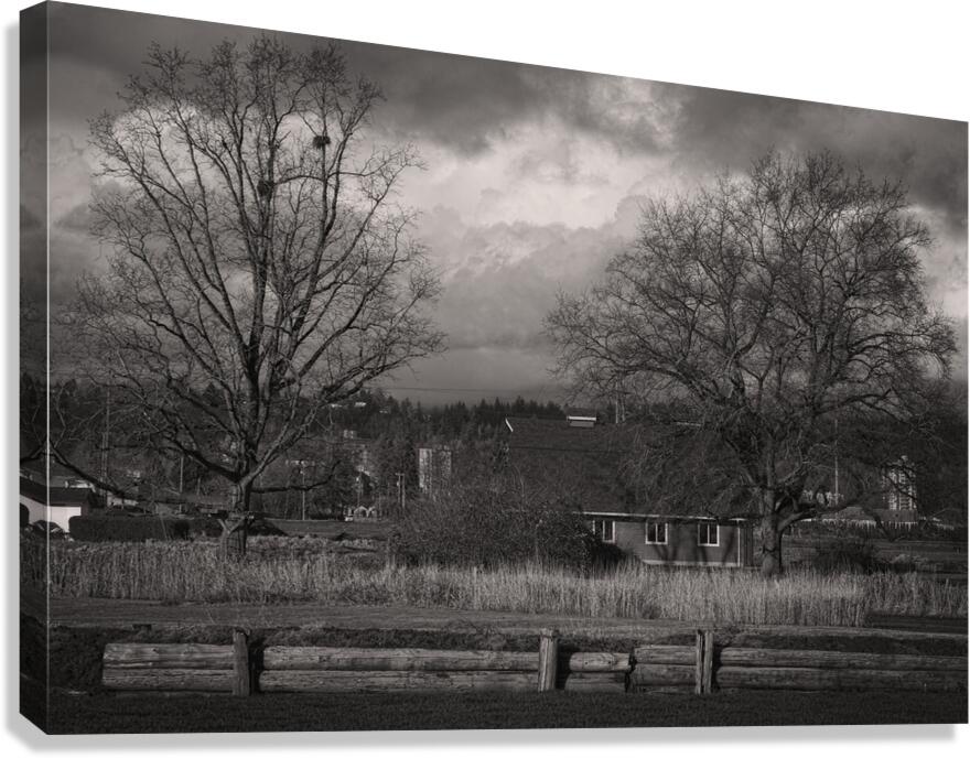 20250201 B21 Canvas Print