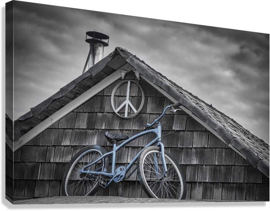 FS240214 BLUE BIKE ON ROOF Canvas Print