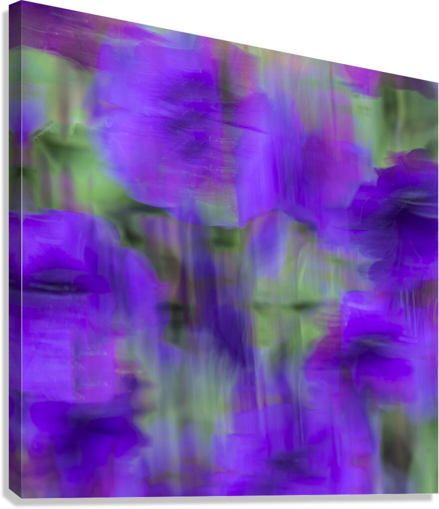 20240819 38 Edit Canvas Print