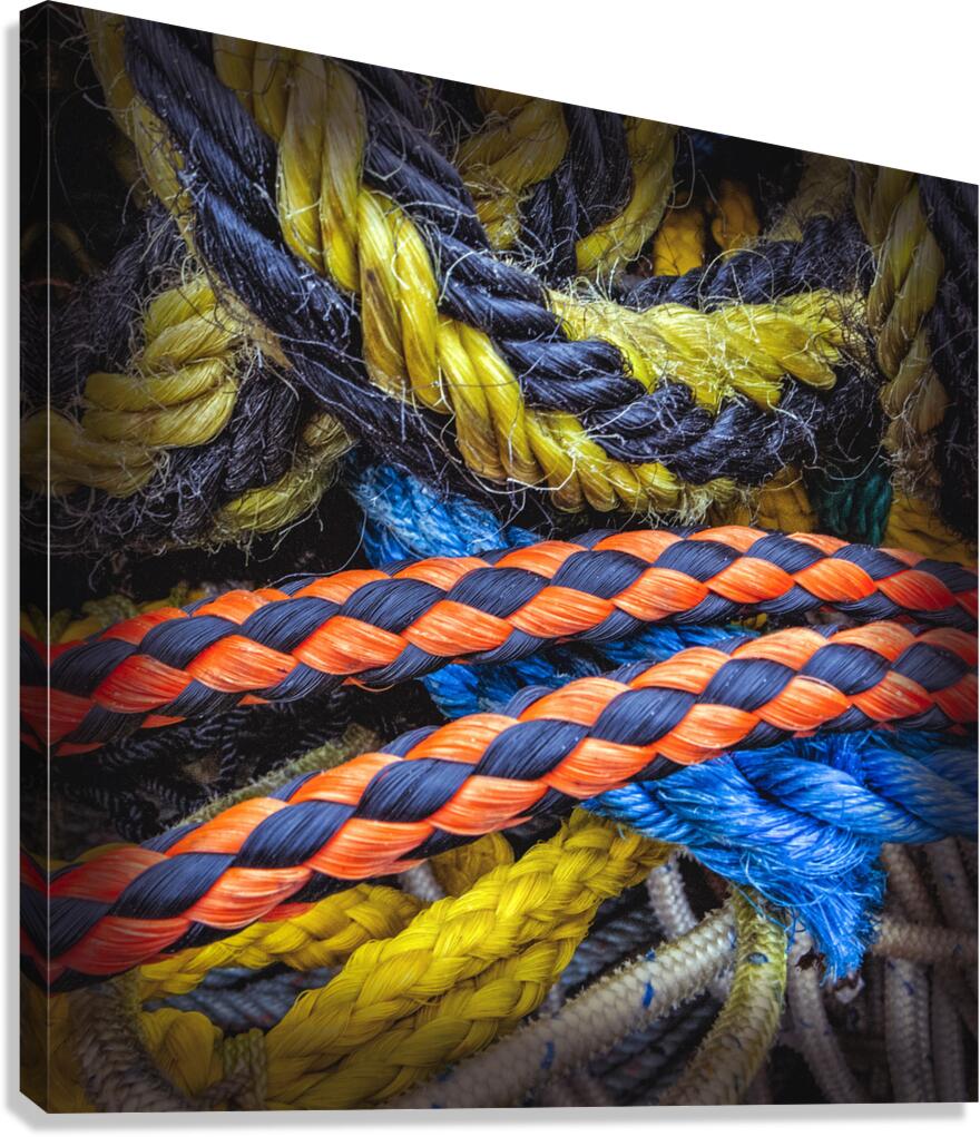 FS120331 ROPES Canvas Print