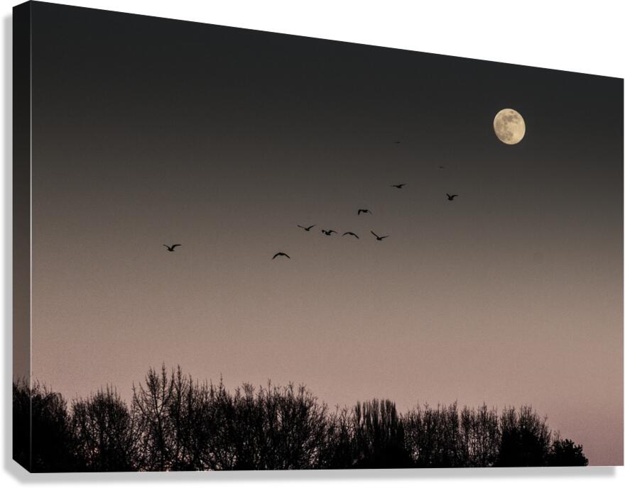 FS250211 MOONRISE Canvas Print