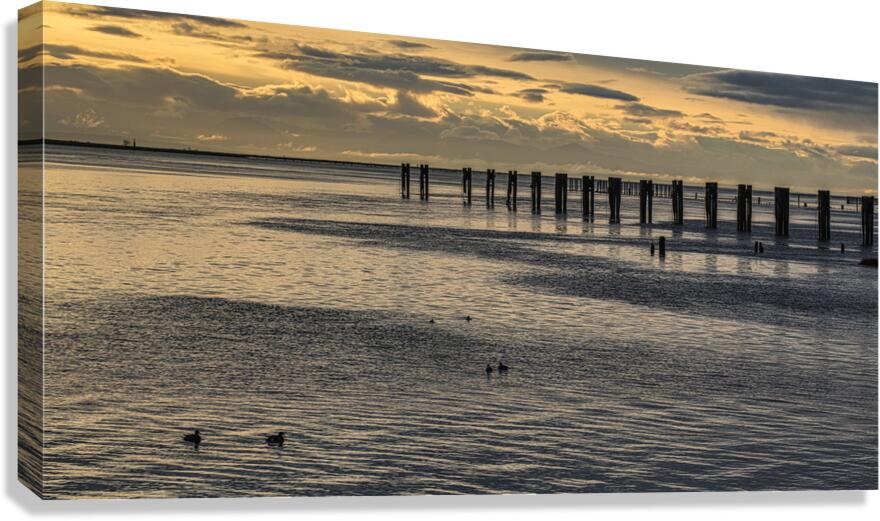 FS250225 GILBERT BEACH Canvas Print
