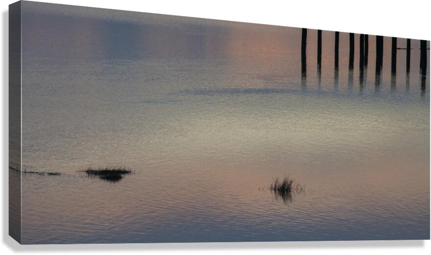 FS250225 MINIMUM Canvas Print
