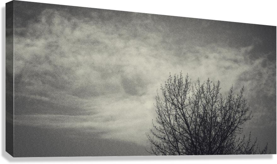 FS250401 CLOUDSCAPE Canvas Print