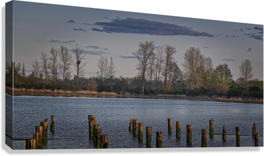 FS250412 IMPERIAL LANDING Canvas Print