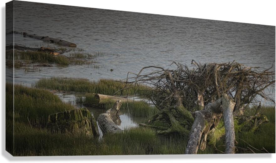 FS250414 Canvas Print