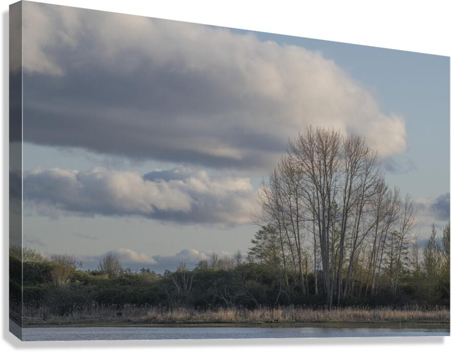 FS250410 CLOUDSCAPE Canvas Print