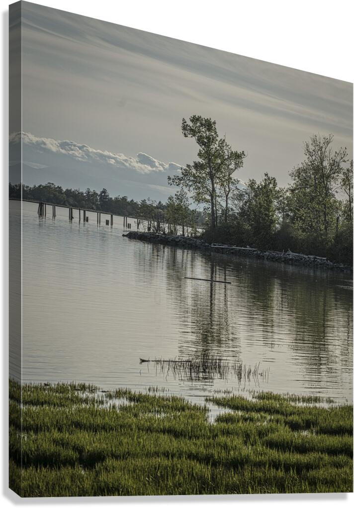 FS250429 Canvas Print