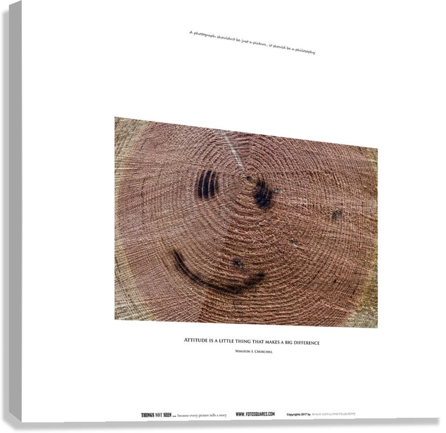 ATTITUDE Canvas Print