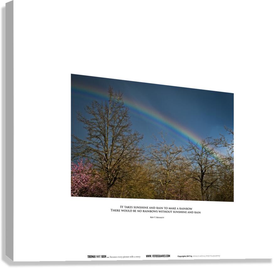 SUNSHINE AND RAIN Canvas Print