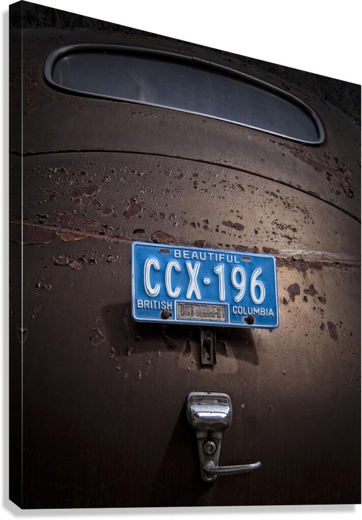 FS070520 Canvas Print