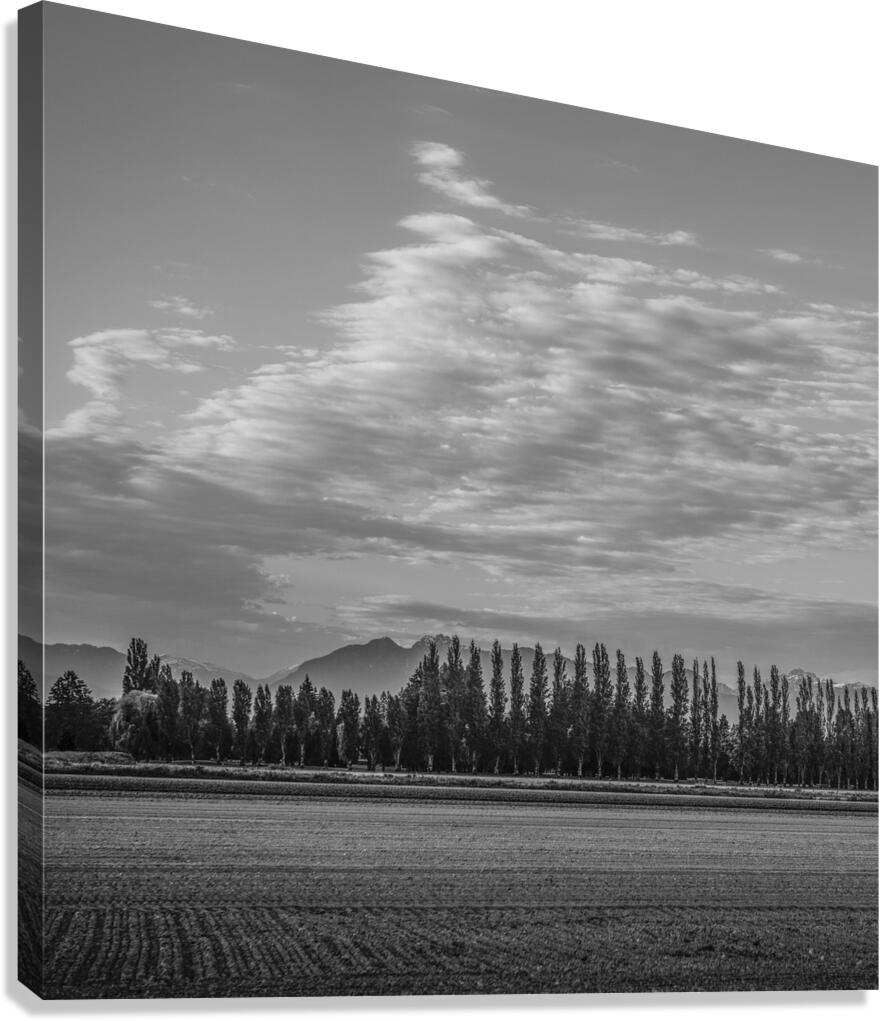 FS250528 CLOUDSCAPE Canvas Print