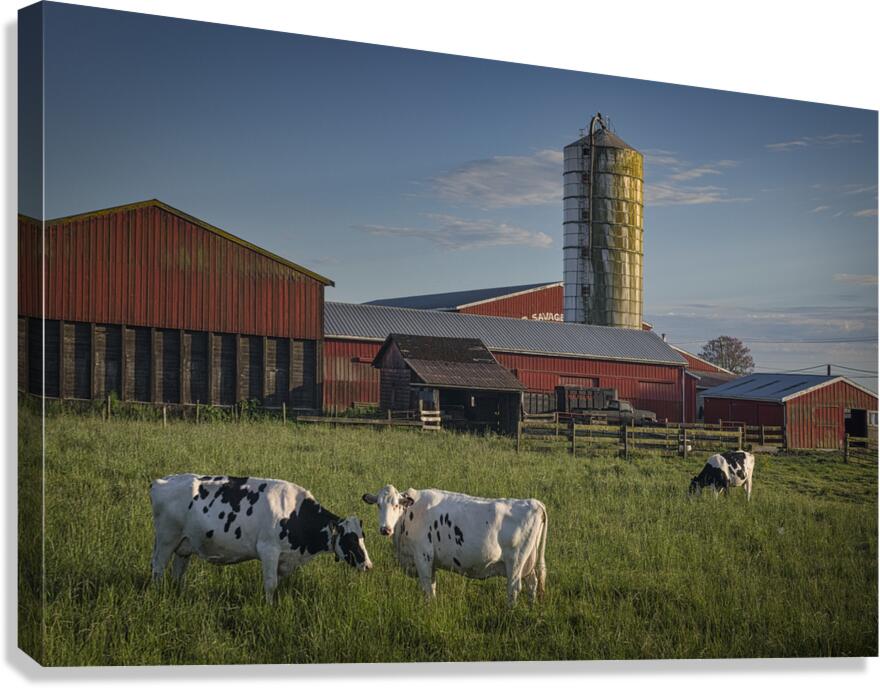 FS250528 Canvas Print