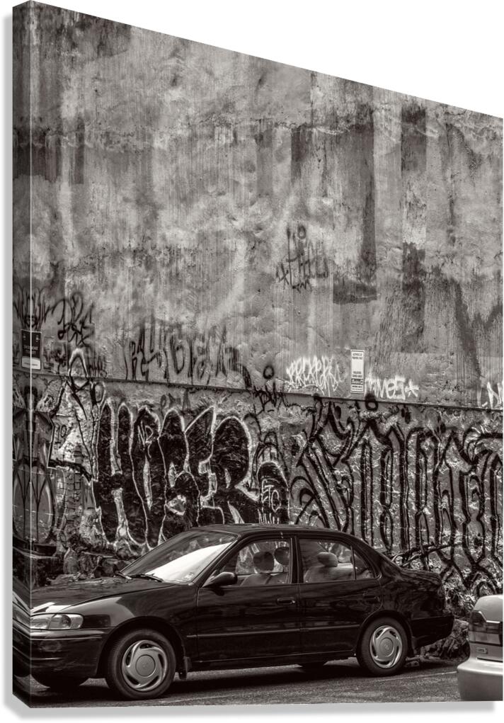FS160611 Edit Canvas Print