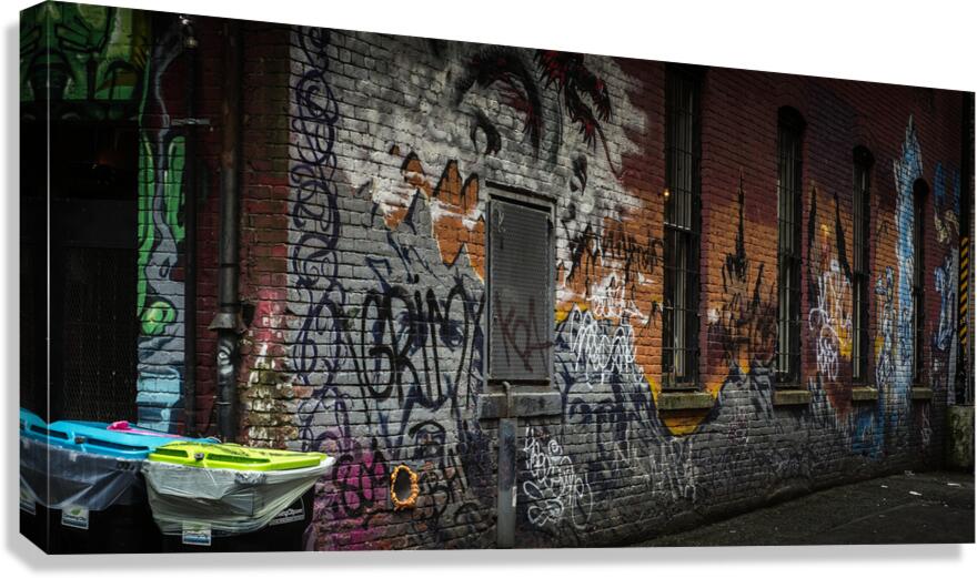 FS160611 EV Canvas Print