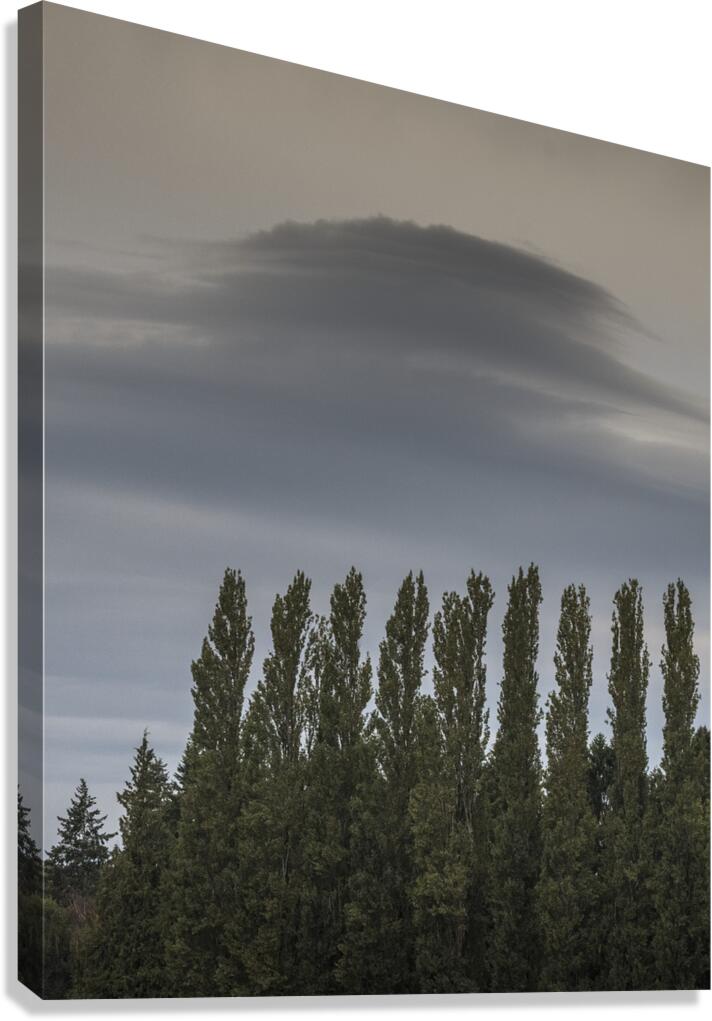 FS250920 CLOUDSCAPE Canvas Print