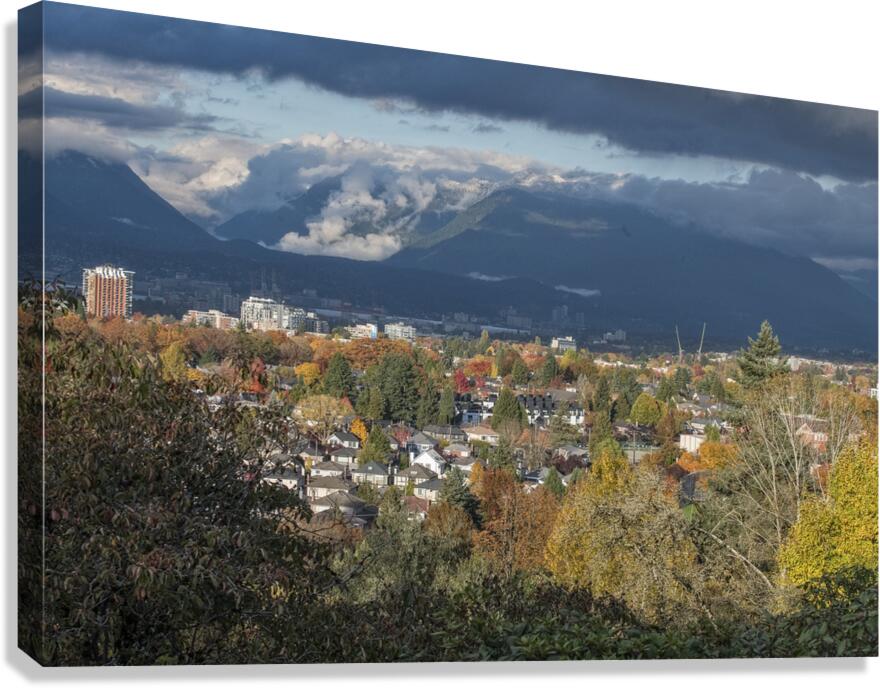 FS251027 Canvas Print