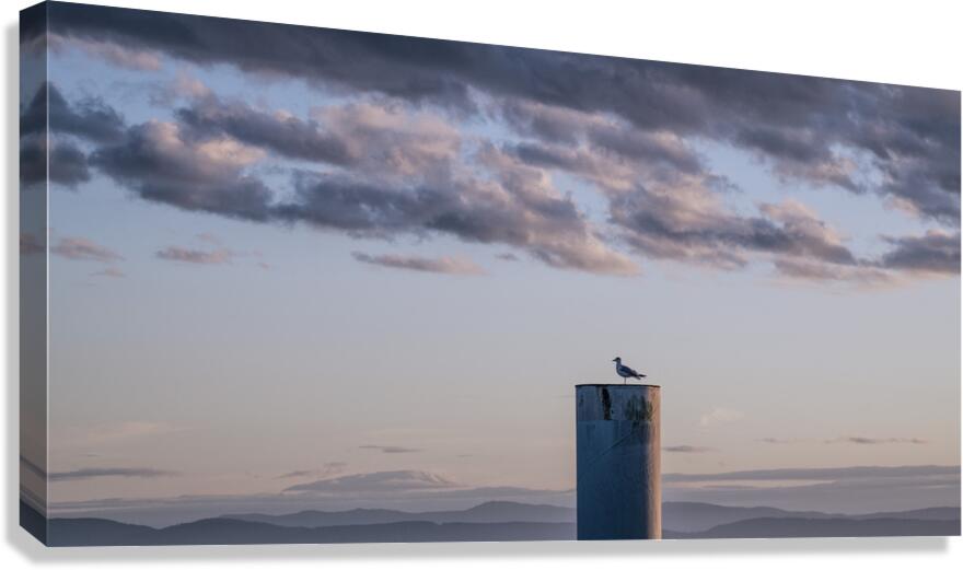 FS250925 CLOUDSCAPE 2025 Canvas Print