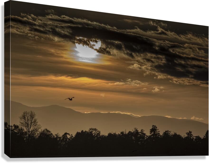 FS251020 SHADOWS Canvas Print