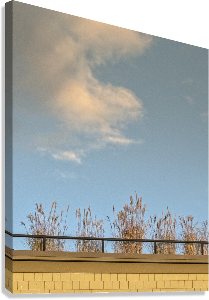 FS251101 CLOUDSCAPE Canvas Print