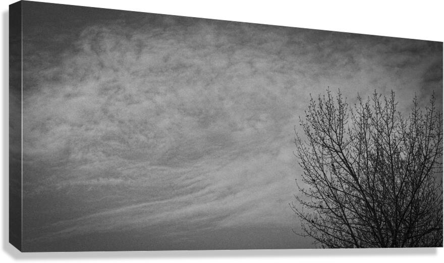 FS250401BW2 CLOUDSCAPE Canvas Print