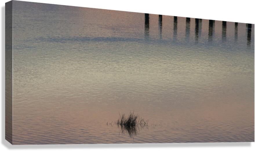 FS250225 MINIMUM Canvas Print