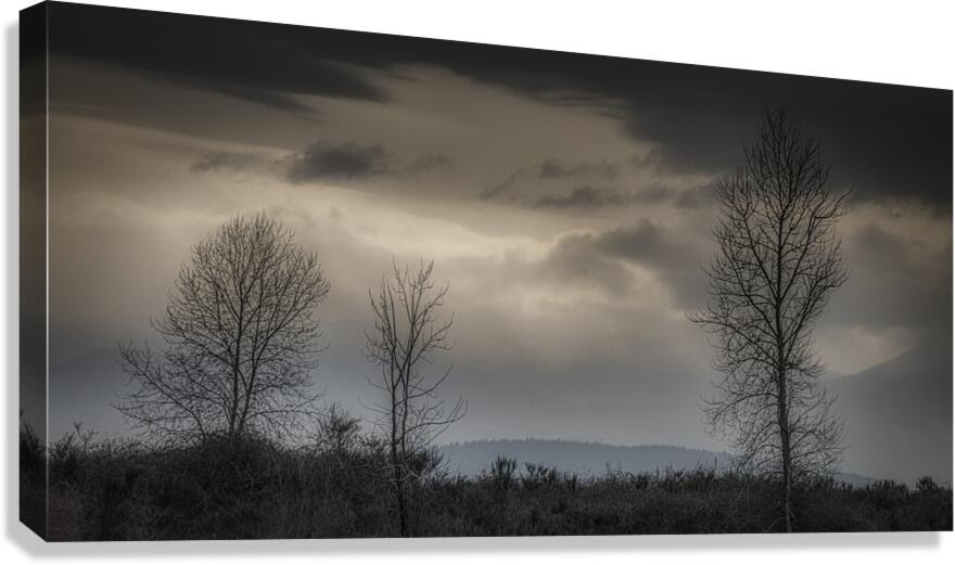 FS250307 DRAMATIC SKY Canvas Print