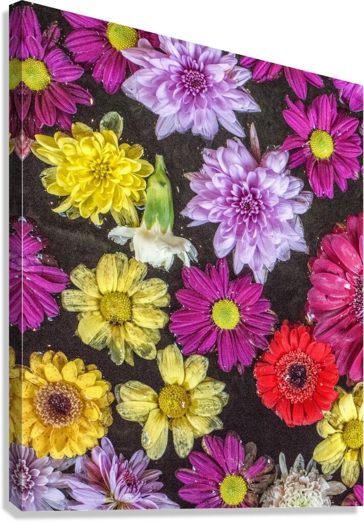 FS180130E Canvas Print