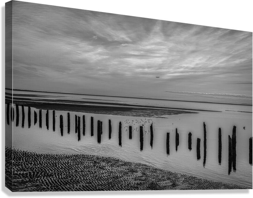 FS180210A Edit Canvas Print