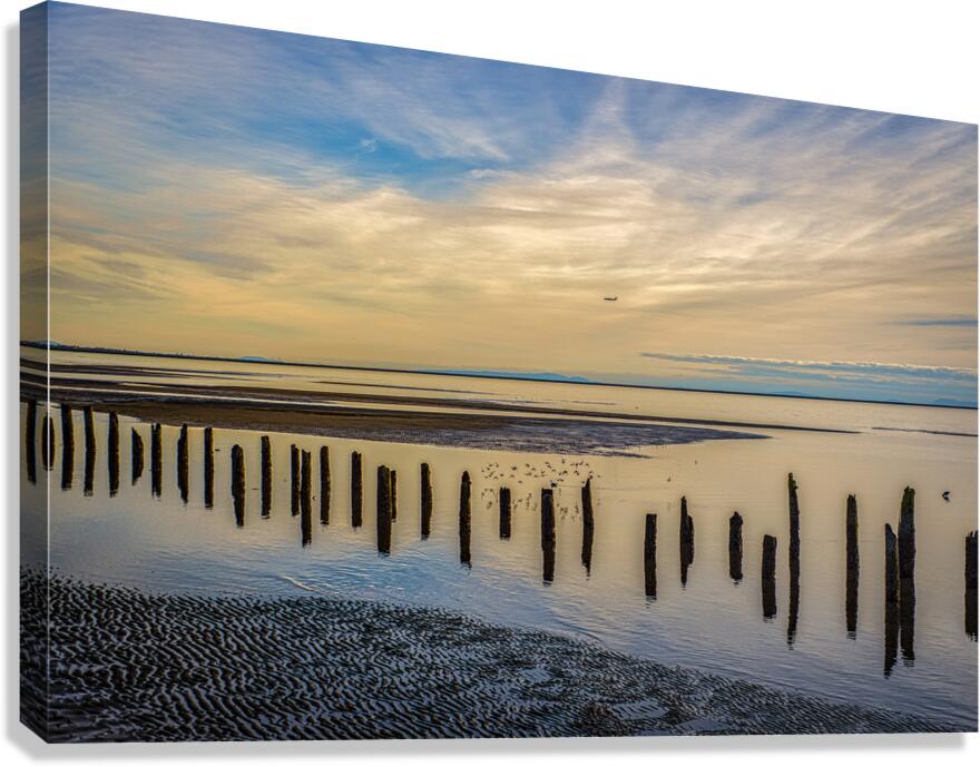FS180210A Canvas Print