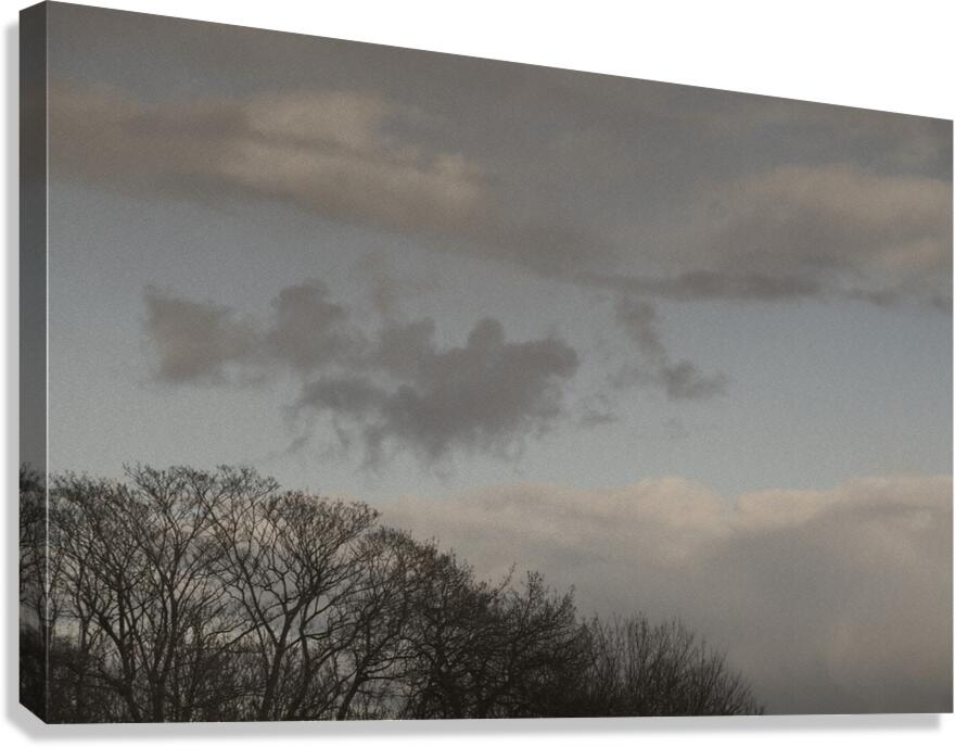FS260308 CLOUDSCAPE Canvas Print