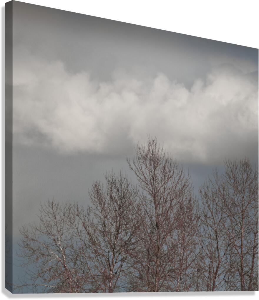 FS260308S CLOUDSCAPE Canvas Print