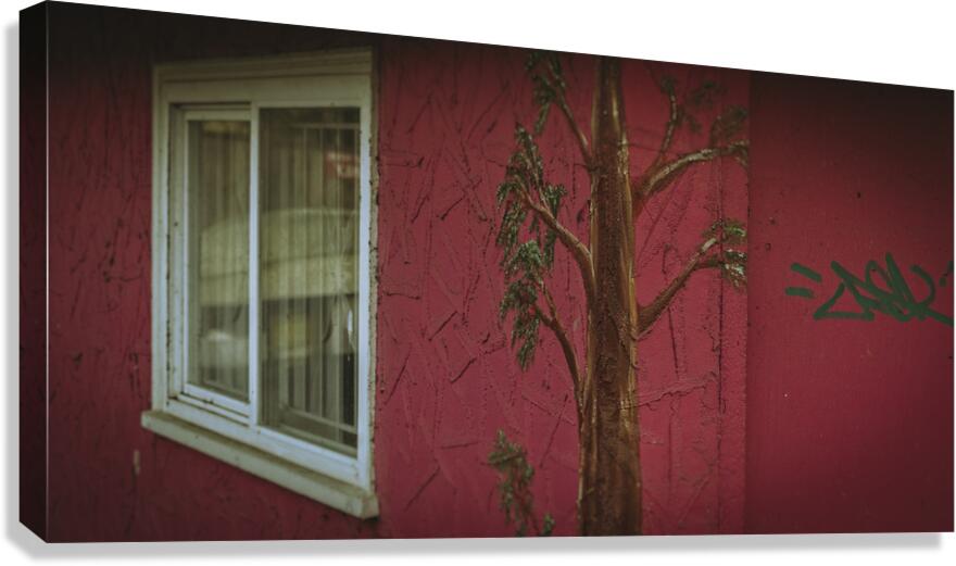 FS260320 A WINDOW Canvas Print