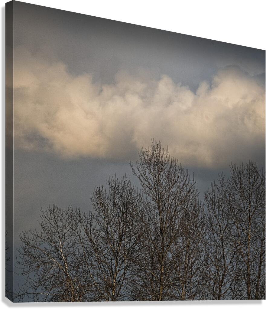 FS260308S2 CLOUDS Canvas Print