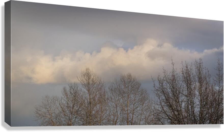 FS260308DW2 CLOUDSCAPE Canvas Print