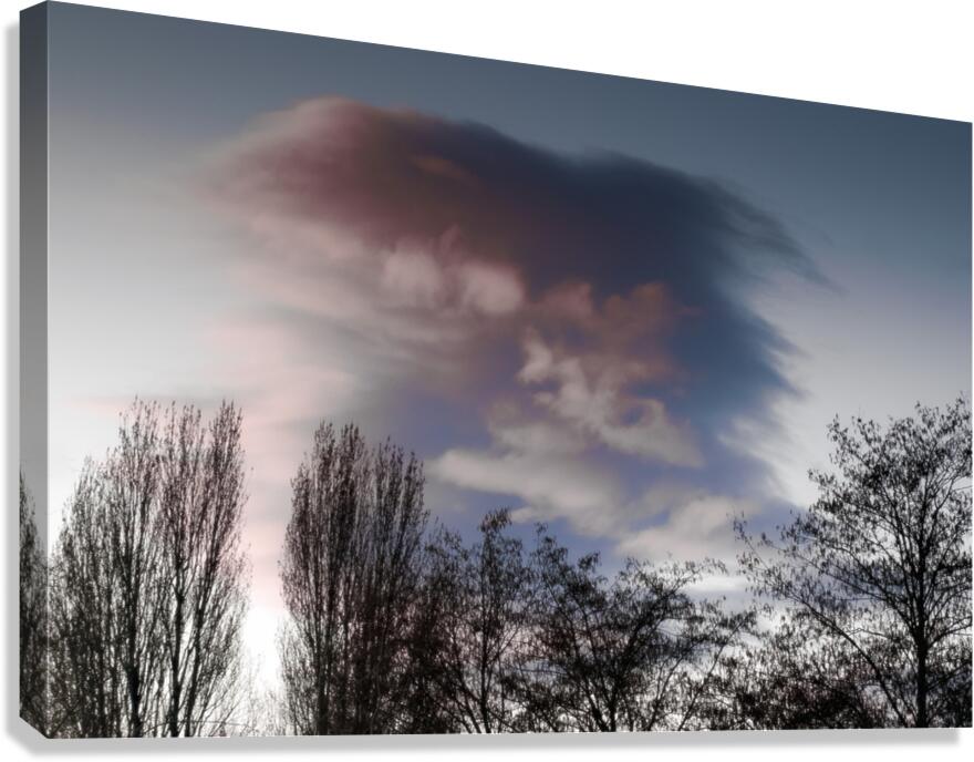 FS260308 TIMELESS Canvas Print