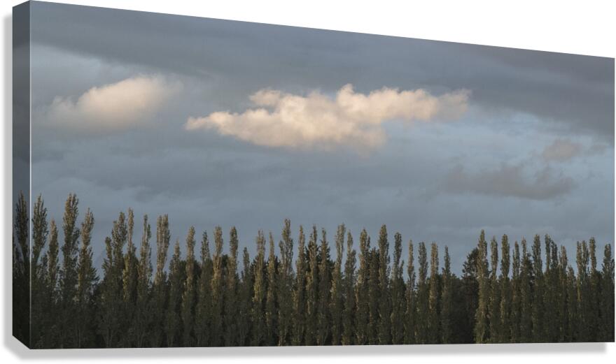 FS260515DW CLOUDSCAPE Canvas Print