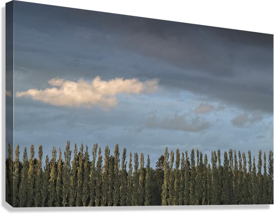 FS260515 03 CLOUDSCAPE Canvas Print
