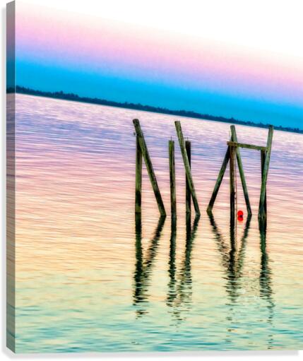 FS170730S2  Canvas Print