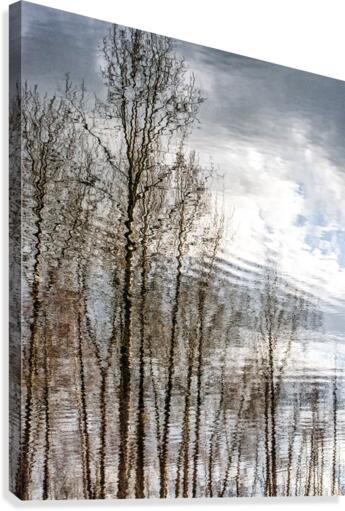 FS170310M Canvas Print