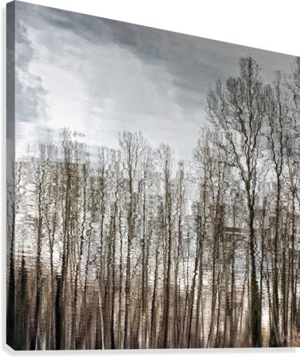 FS170228S Canvas Print